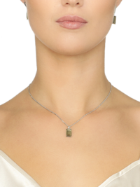 halsband-silver-brun